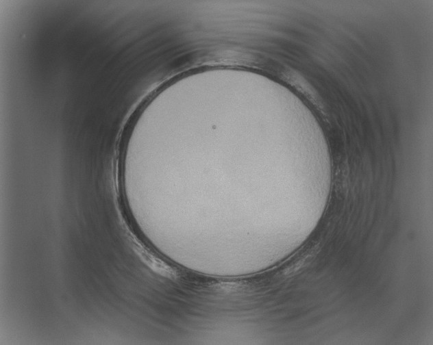 X0000073701130200608241410