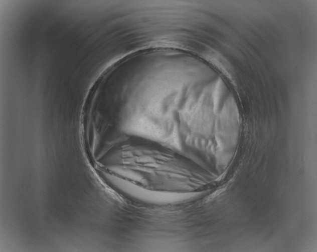 X0000073701133200608241410