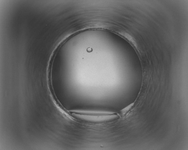 X0000073701135200608241410