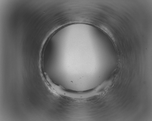 X0000073701136200608241410