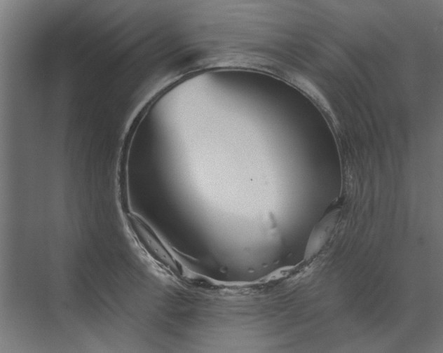 X0000073701138200608241410