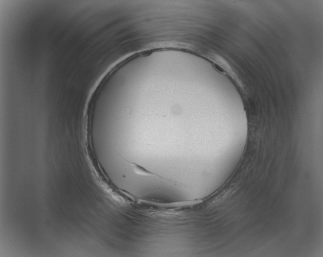 X0000073701140200608241410