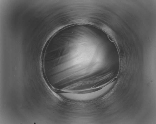 X0000073701141200608241410