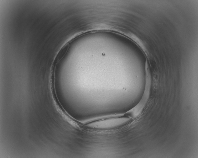 X0000073701142200608241410