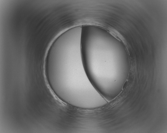 X0000073701144200608241410