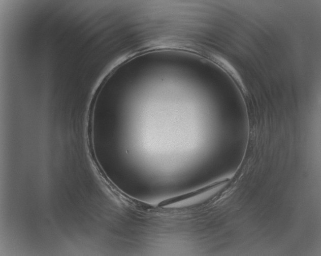 X0000073701146200608241410