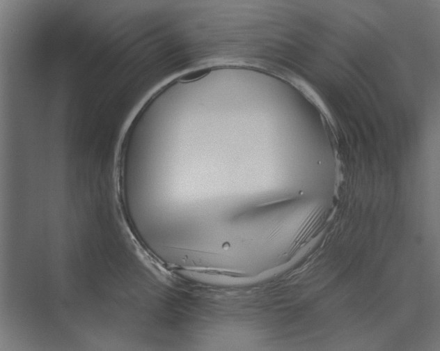 X0000073701148200608241410