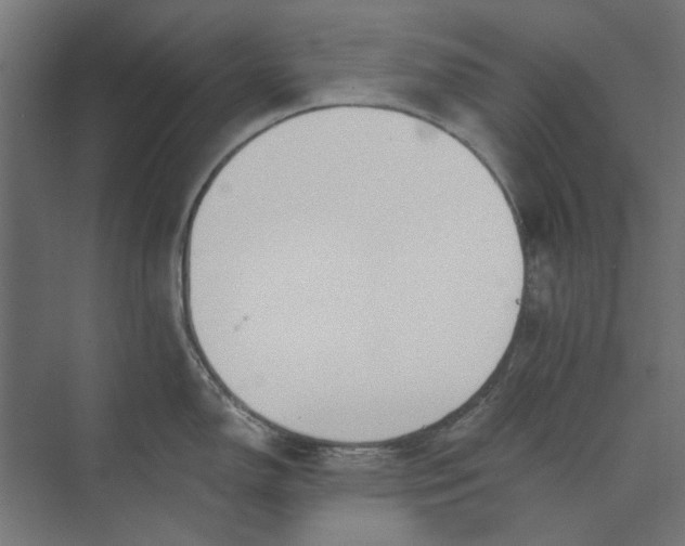 X0000073701150200608241410