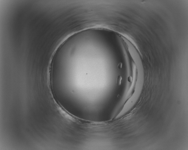 X0000073701151200608241410