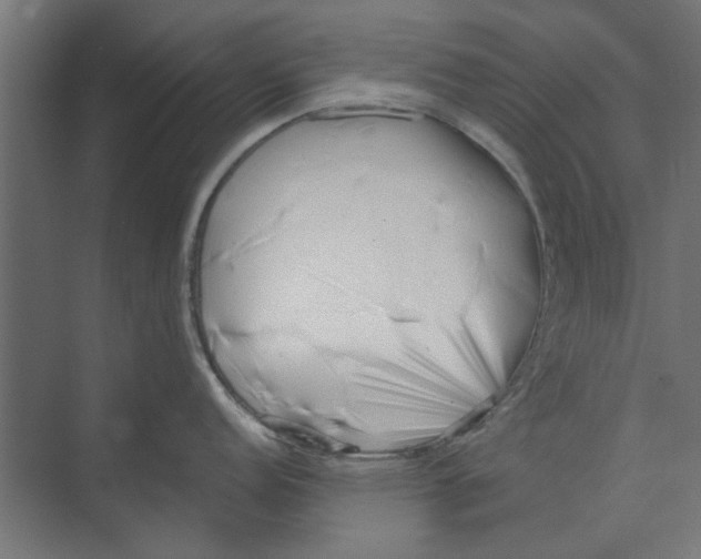 X0000073701152200608241410