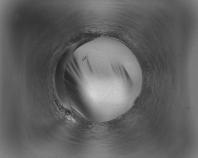 X0000073701153200608241410