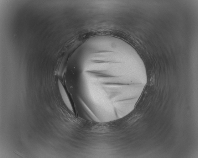 X0000073701156200608241410