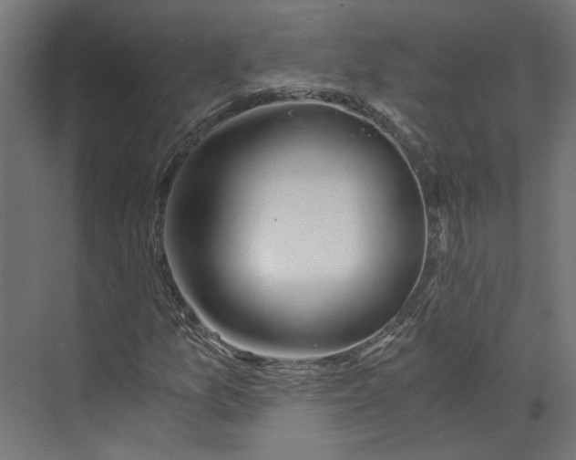 X0000073701157200608241410