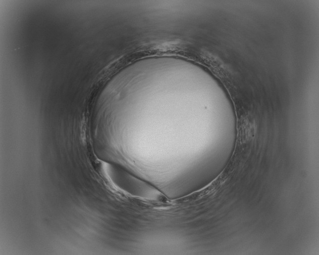 X0000073701158200608241410