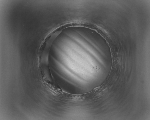 X0000073701160200608241409