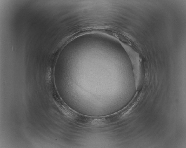 X0000073701161200608241409