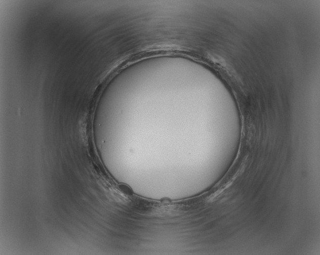 X0000073701162200608241409