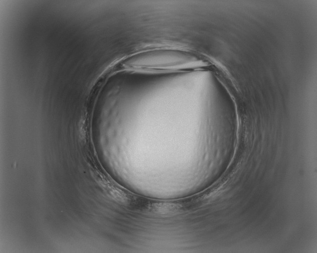 X0000073701163200608241409