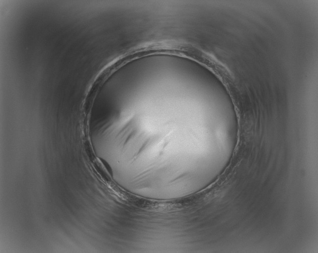 X0000073701166200608241409