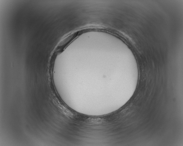 X0000073701168200608241409