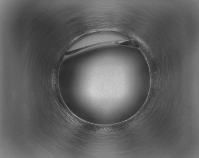 X0000073701169200608241409