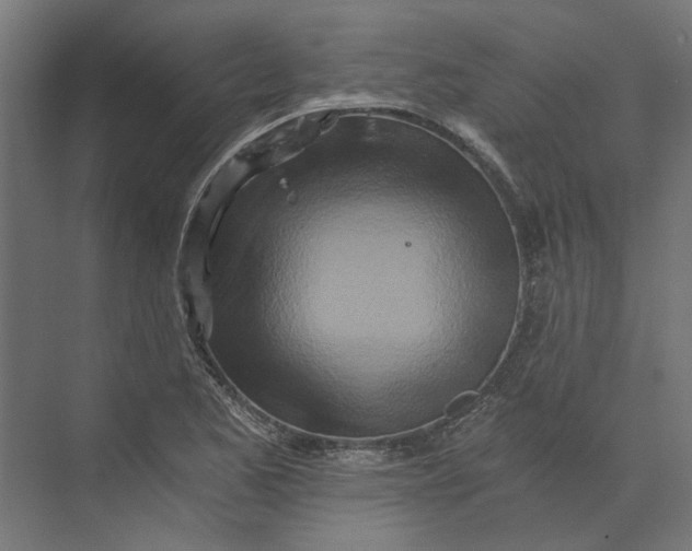 X0000073701173200608241409