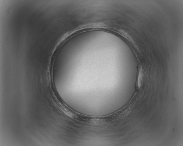 X0000073701176200608241409