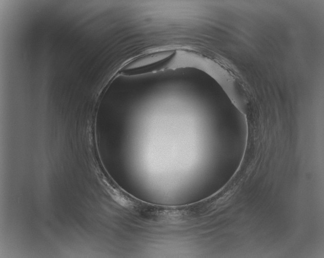 X0000073701177200608241409