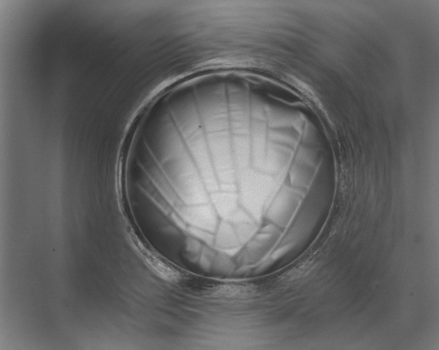 X0000073701179200608241409