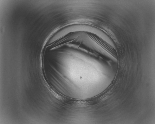 X0000073701180200608241409