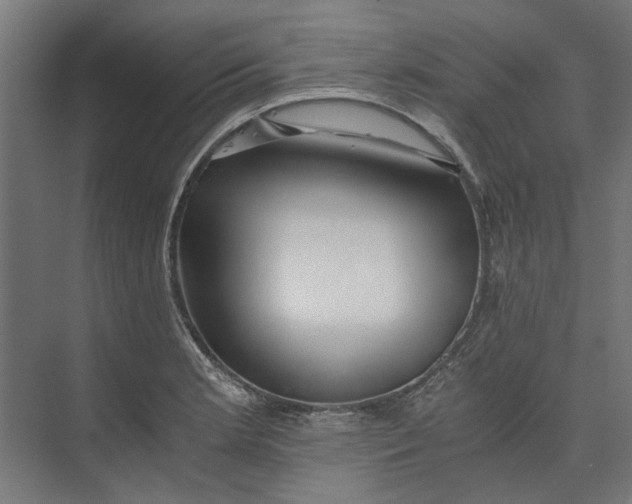 X0000073701181200608241409