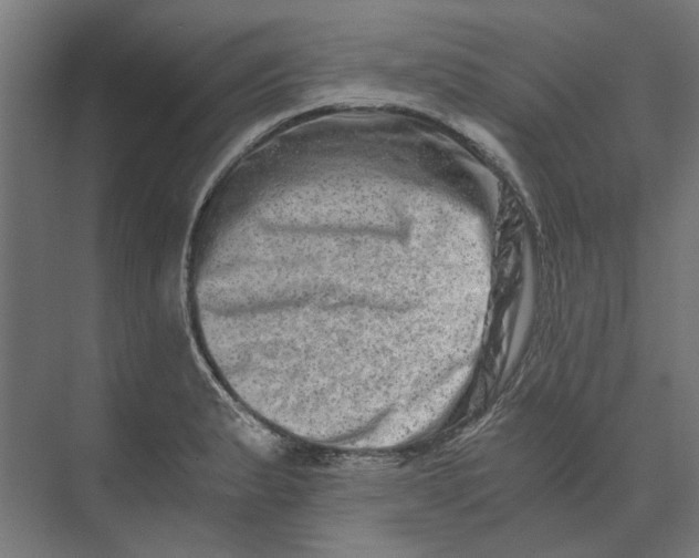 X0000073701183200608241409