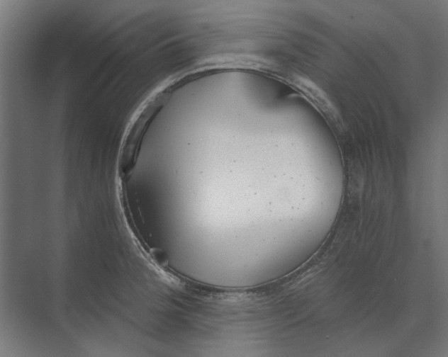 X0000073701188200608241409