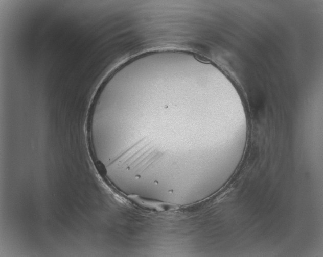 X0000073701189200608241409