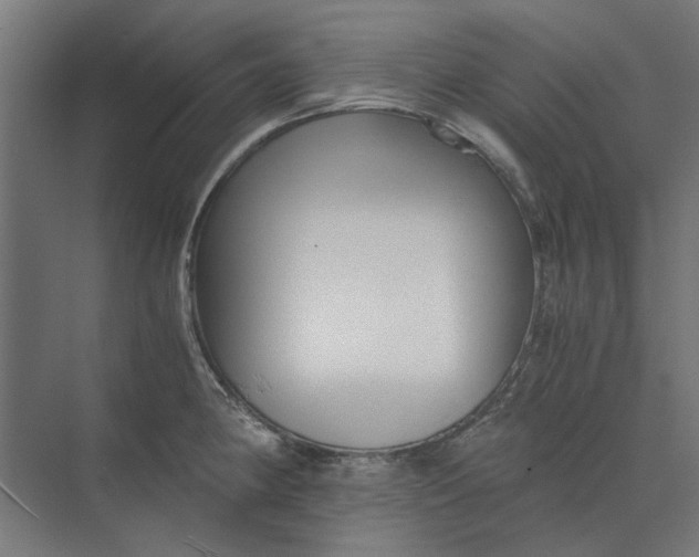 X0000073701190200608241409