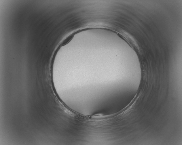 X0000073701192200608241409