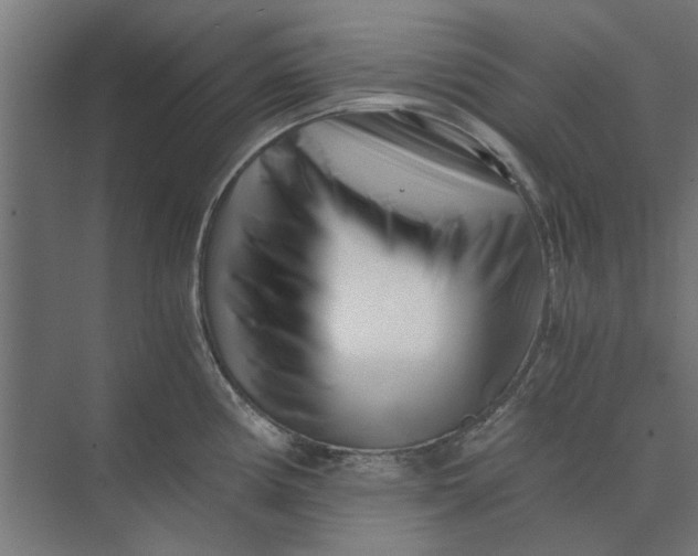 X0000073701194200608241409