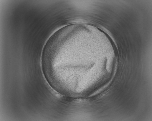 X0000073701195200608241409