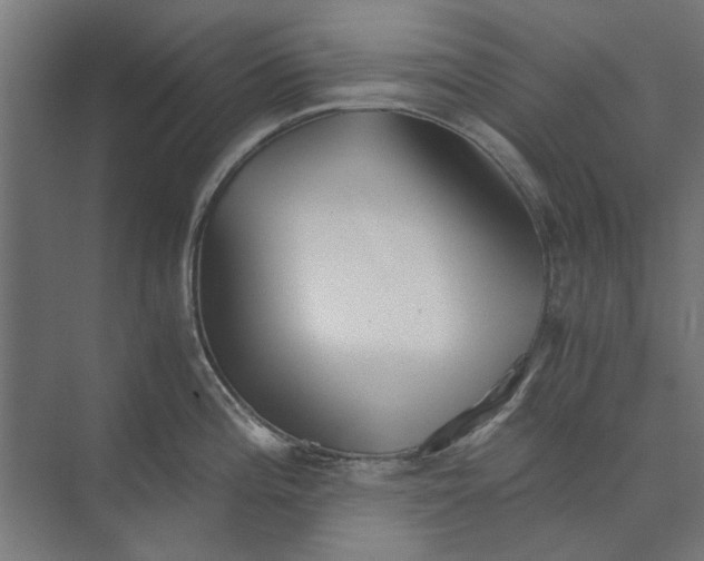 X0000073701196200608241409