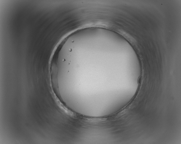 X0000073701200200608241409