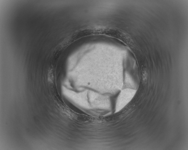 X0000073701204200608241408