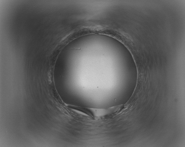 X0000073701205200608241408