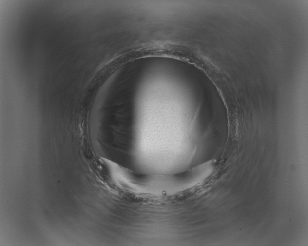 X0000073701206200608241408