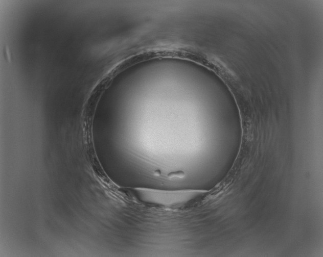 X0000073701208200608241408