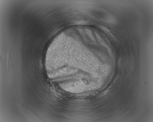 X0000073701209200608241408