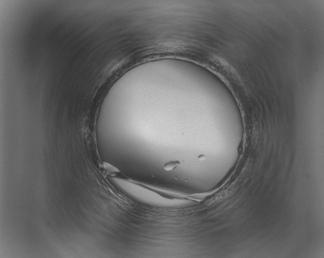 X0000073701210200608241408