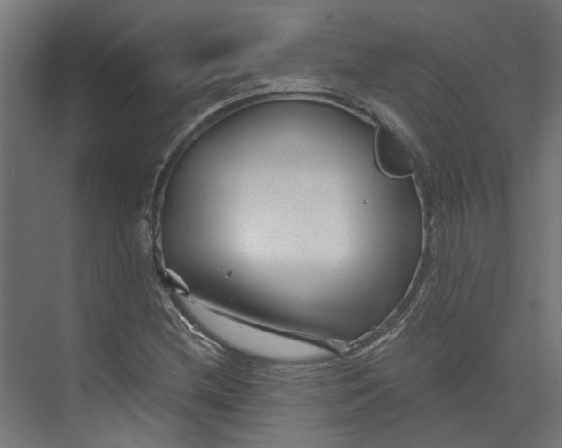 X0000073701212200608241408