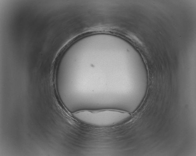 X0000073701216200608241408