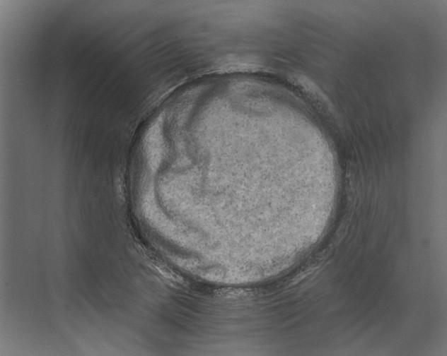 X0000073701217200608241408