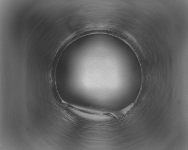 X0000073701218200608241408